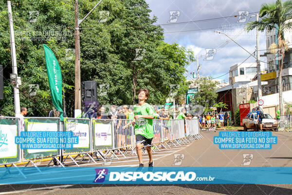 Vale Verde Run 2024