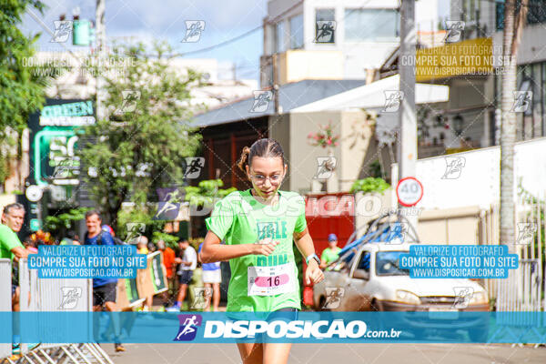 Vale Verde Run 2024