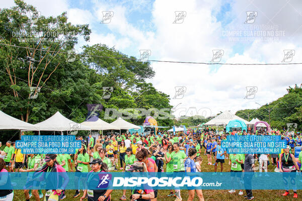 Vale Verde Run 2024