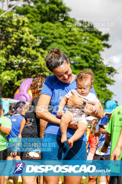 Vale Verde Run 2024