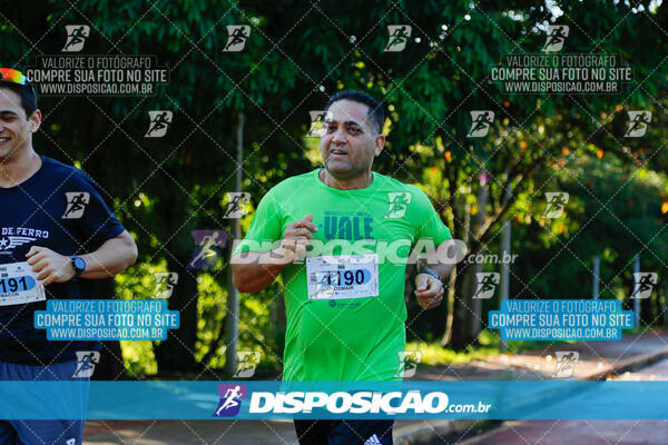 Vale Verde Run 2024