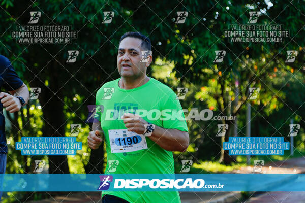 Vale Verde Run 2024