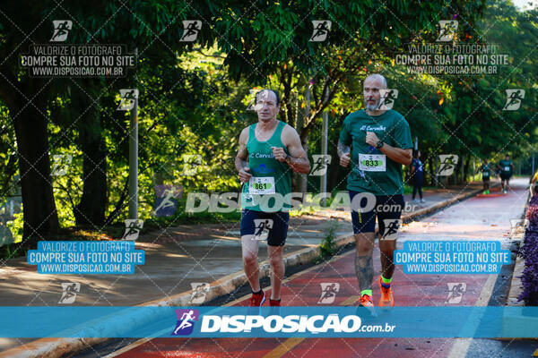 Vale Verde Run 2024