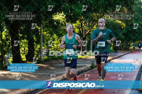 Vale Verde Run 2024