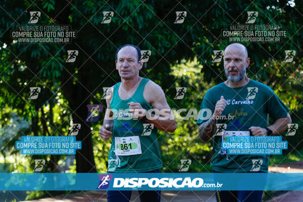 Vale Verde Run 2024