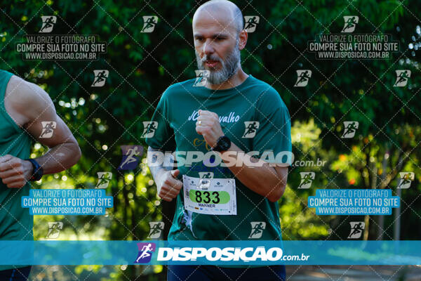 Vale Verde Run 2024