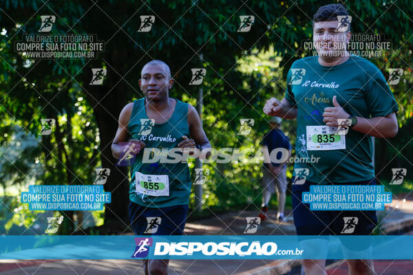 Vale Verde Run 2024