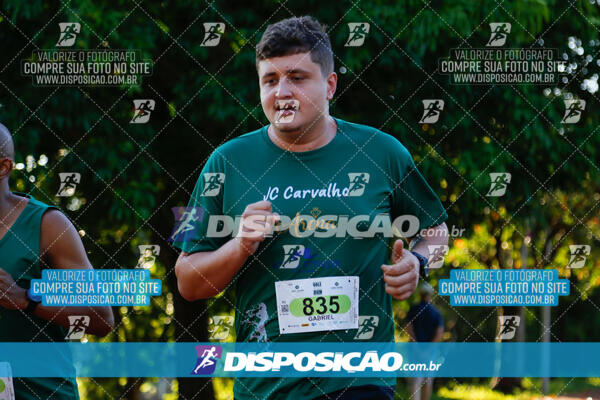 Vale Verde Run 2024