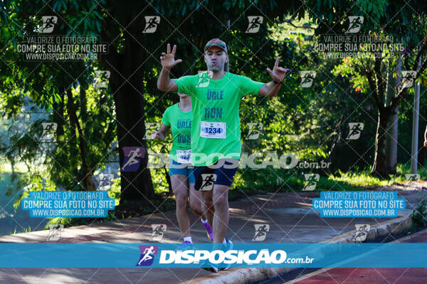 Vale Verde Run 2024