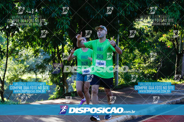 Vale Verde Run 2024