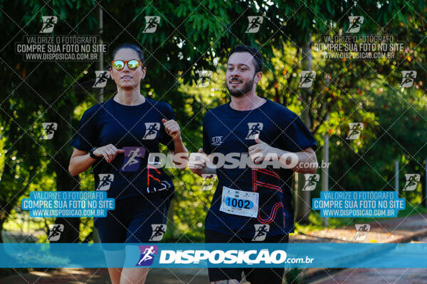 Vale Verde Run 2024