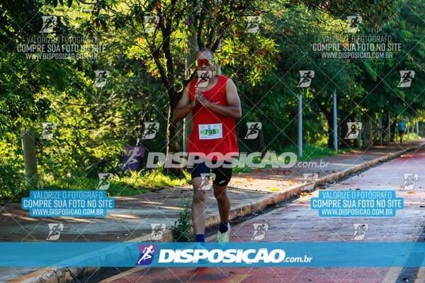 Vale Verde Run 2024