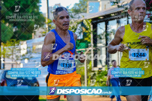 Vale Verde Run 2024