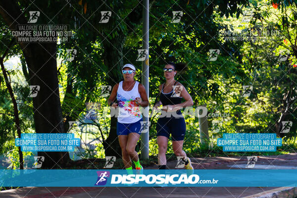 Vale Verde Run 2024