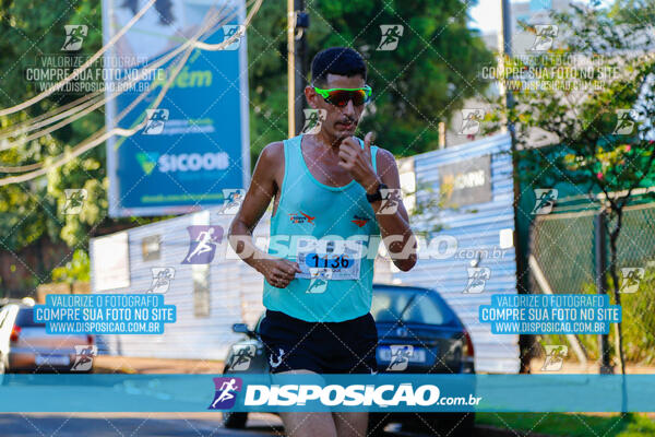 Vale Verde Run 2024