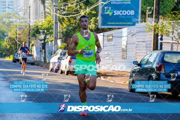 Vale Verde Run 2024