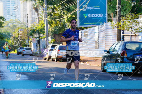 Vale Verde Run 2024