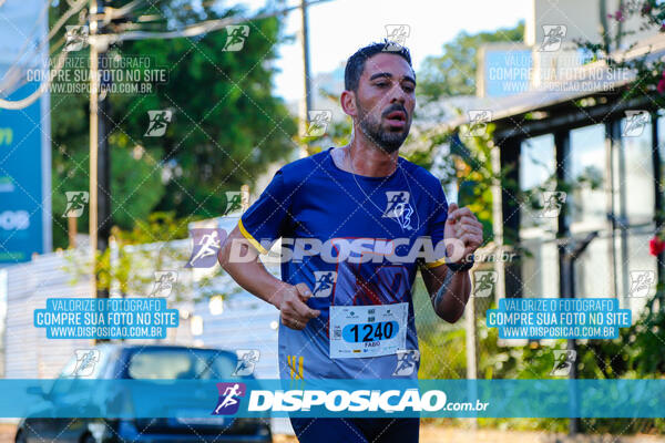 Vale Verde Run 2024