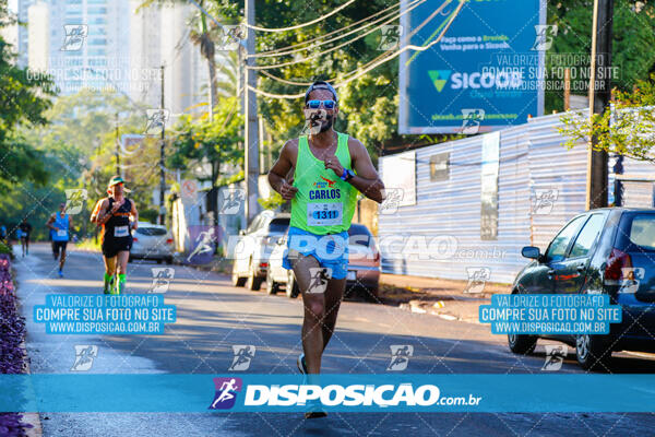 Vale Verde Run 2024