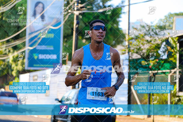 Vale Verde Run 2024