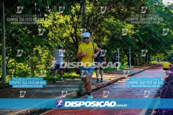 Vale Verde Run 2024