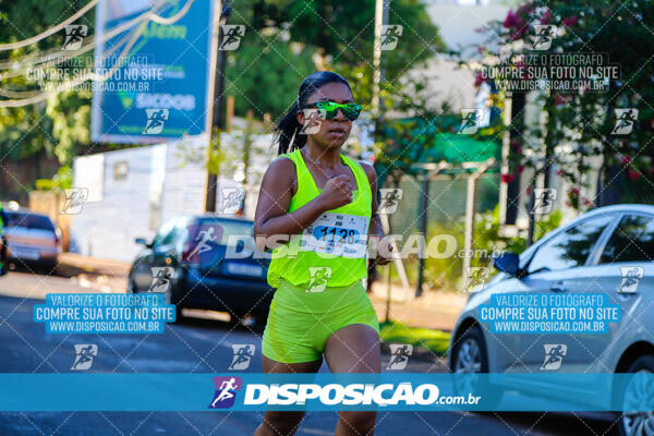 Vale Verde Run 2024