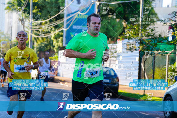 Vale Verde Run 2024