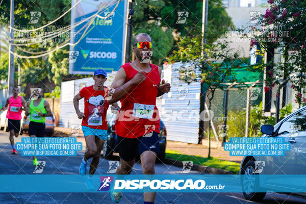 Vale Verde Run 2024