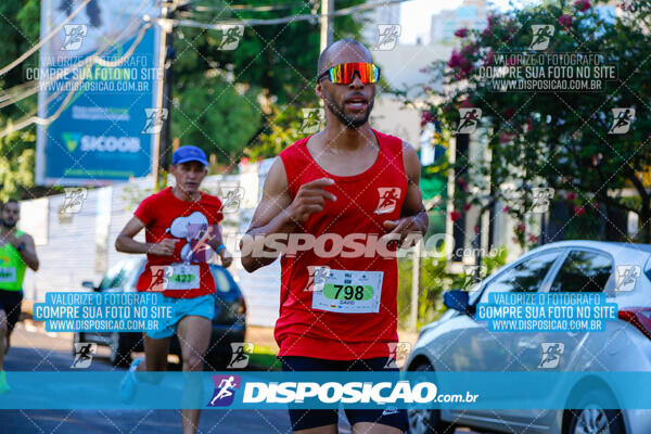 Vale Verde Run 2024