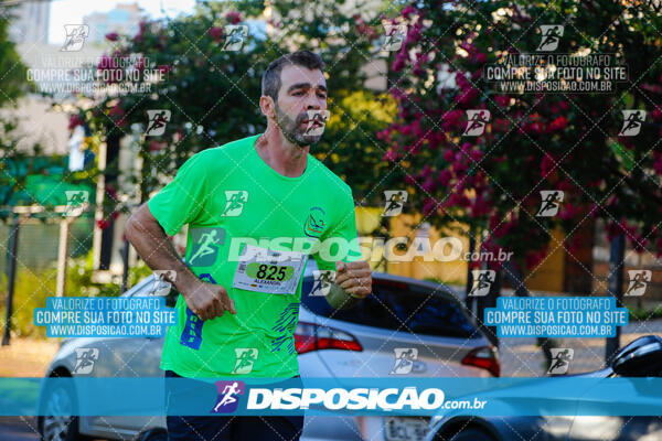 Vale Verde Run 2024