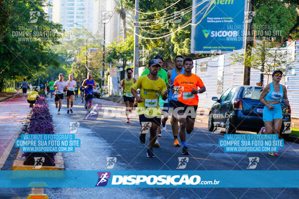 Vale Verde Run 2024