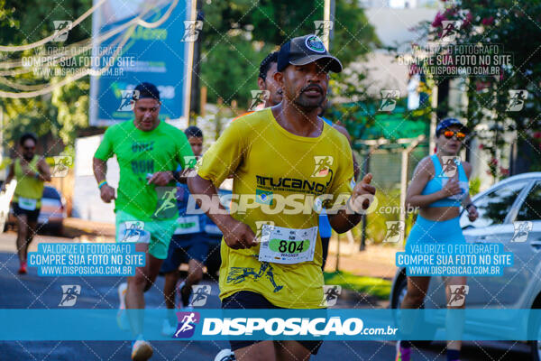 Vale Verde Run 2024