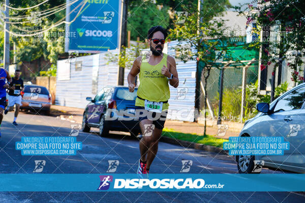 Vale Verde Run 2024