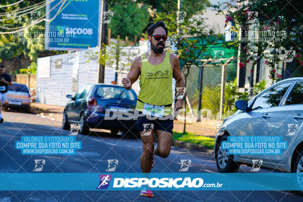 Vale Verde Run 2024