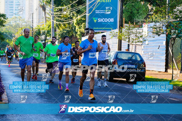 Vale Verde Run 2024