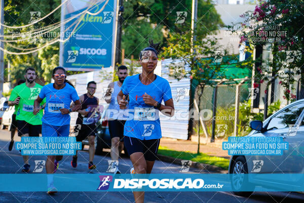 Vale Verde Run 2024