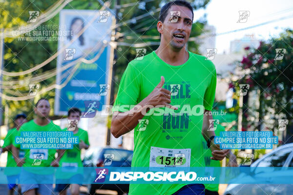 Vale Verde Run 2024