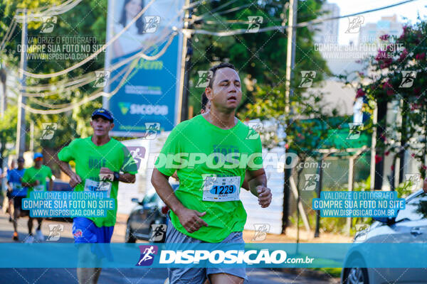 Vale Verde Run 2024