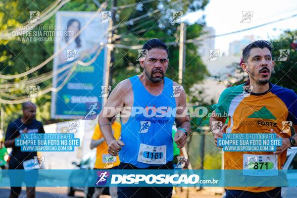 Vale Verde Run 2024