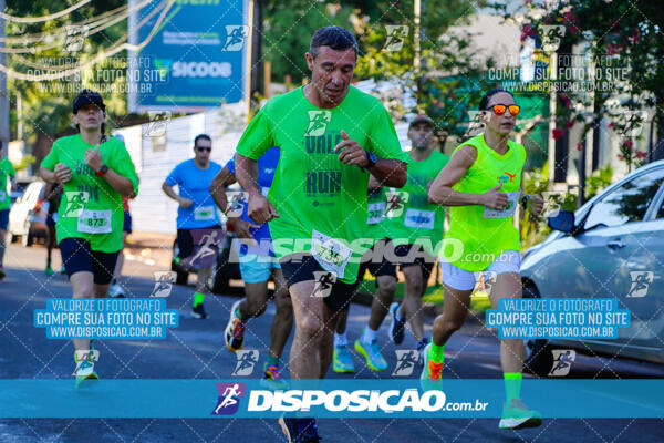 Vale Verde Run 2024