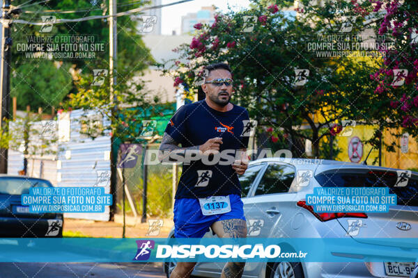 Vale Verde Run 2024