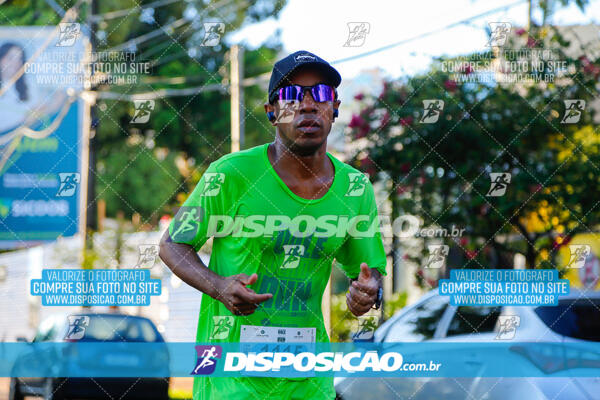 Vale Verde Run 2024