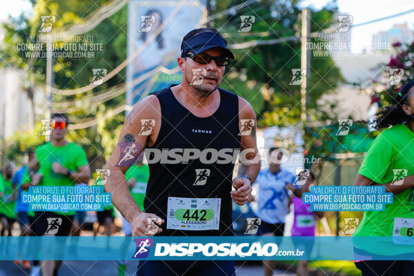 Vale Verde Run 2024