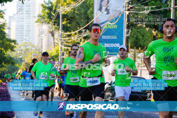 Vale Verde Run 2024