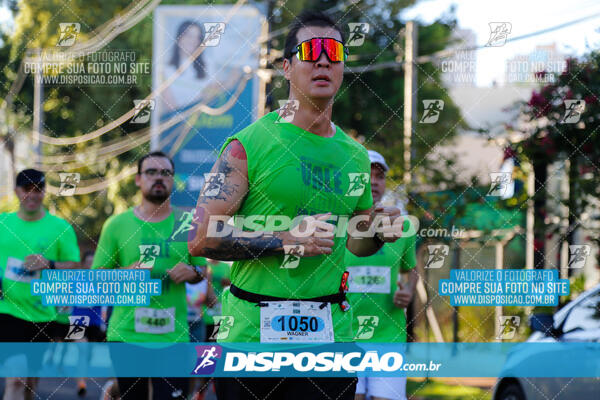 Vale Verde Run 2024