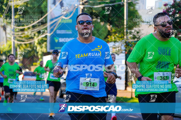 Vale Verde Run 2024