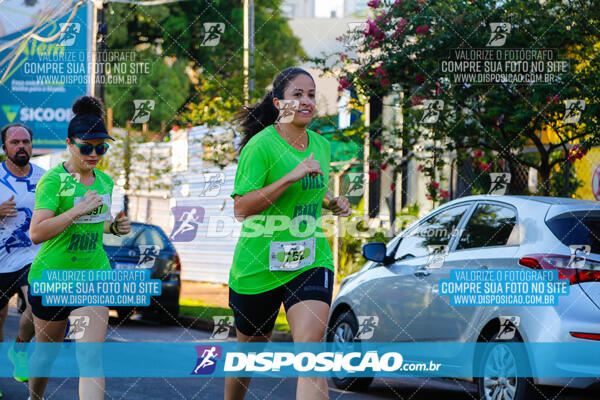 Vale Verde Run 2024