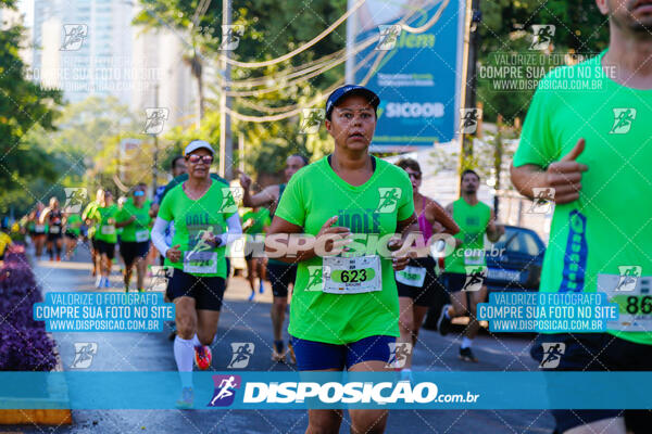 Vale Verde Run 2024