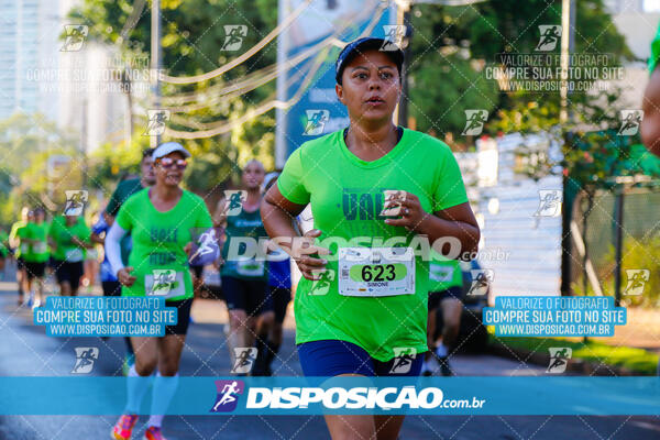 Vale Verde Run 2024