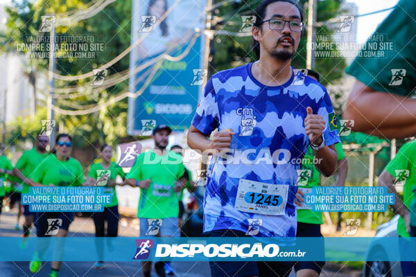 Vale Verde Run 2024